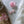 Charger l'image dans la galerie, 2pc Switch Thumb Grips - Sakura - Cap Joy Con Grip For all Nintendo Switch