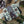Charger l'image dans la galerie, <transcy>Autocollants Nintendo Switch Oled Skin - Forêt - Autocollant Vinyle Full Wrap</transcy>