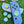 Load image into Gallery viewer, Oled Nintendo Switch Skin Decals Sentimental Baby Blue Wrap Vinyl