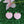 Load image into Gallery viewer, Steam Deck Valve Skins Vinyl Sticker Celadon cow Design Premium Skin