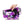 Load image into Gallery viewer, Nintendo Switch Skin Decal For Console Joy-Con And dock Purple Botanical - ZoomHitskin