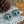 Charger l&#39;image dans la galerie, Lenovo Legion Go Vinyl Sticker Mushroom Forest Design Premium Skin Full Wrap
