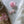 Charger l&#39;image dans la galerie, 2pc Switch Thumb Grips - Sakura - Cap Joy Con Grip For all Nintendo Switch
