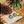 Load image into Gallery viewer, Nintendo Switch Skin Decal For Console Joy-Con And Dock Greenery
