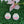 Charger l&#39;image dans la galerie, Nintendo Switch Lite Skin Decal For Game Console Meow
