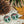 Load image into Gallery viewer, Cream Natural Nintendo Switch Skin Decal For Console Joy-Con And Dock
