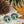 Load image into Gallery viewer, Forest Nintendo Switch Skin Decal For Console Joy-Con And Dock
