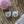 Load image into Gallery viewer, Nintendo Switch Skin Decal For Console Joy-Con And Dock Rose Gold Glitter

