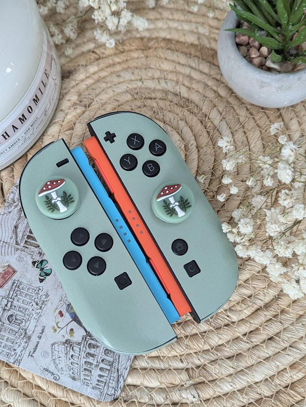 Nintendo Switch 2 Skin Natural Colors Full Wrap Cover