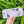 Load and play video in Gallery viewer, Video
